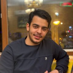 سید مهدی قائم مقامی
